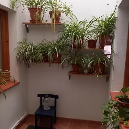 Летний дом Cal Manyo Puigvert de Lerida